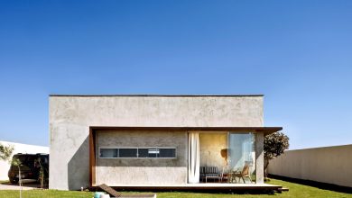 Concrete Box House, Compact Inside 1:1, Opens To The Garden