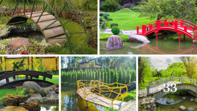 38 Amazıng Garden Brıdge Ideas for Backƴard and Pond