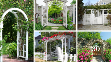 35 Inspıratıon Gate Ideas for Garden or Front Entrance