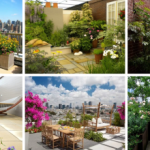 Terrace Garden Ideas to Create an Urban Oasis 
