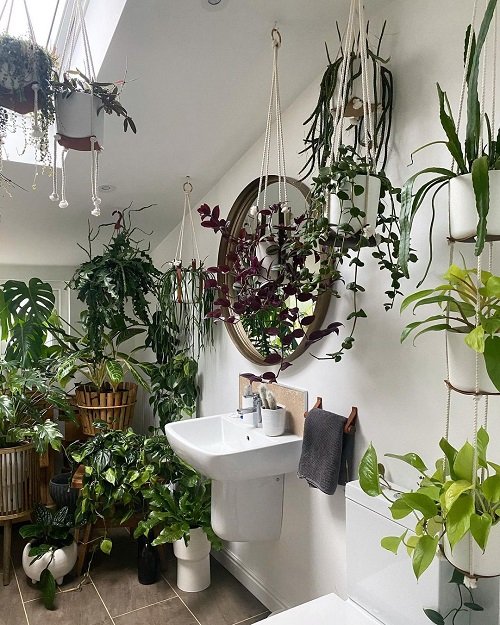 Jungle Bathroom Ideas 7