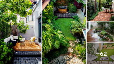 62 Inspiring Backyard Landscaping Ideas to Create a Natural Oasis of Shade