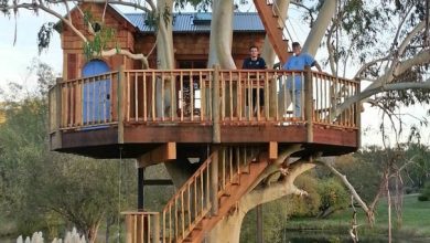 39 Beautiful Tree House Ideas