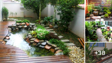38 Creative Small Garden Ideas
