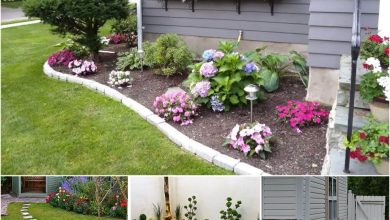 30 Simple but Beautiful Backyard Landscaping Ideas