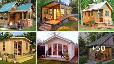 51 New Ideas for “Compact Wooden House”