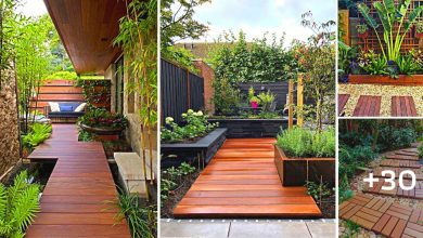 31 Wooden Walkway Ideas to Enhance Your Beautiful Landscape