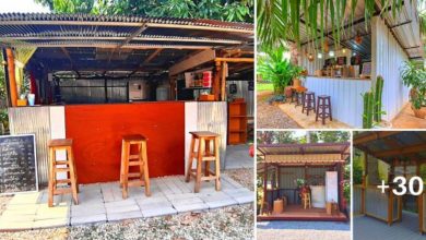 30 “Small Coffee Shop” Ideas Low Budget With Wood & Zinc