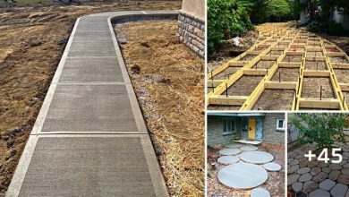 45 Cheap DIY “Concrete Path” Ideas You Can Install