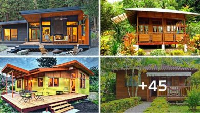 45 Beautiful “Wooden House” Ideas Inspiration for Your Vacation Home
