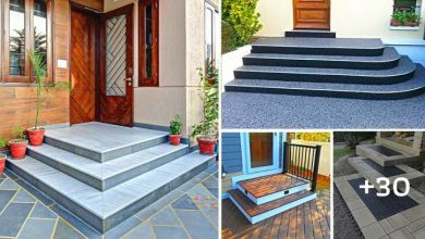 30 Ideas for “Front Steps” to Make Your Home Look Stunning
