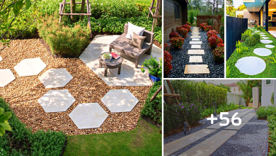 56 Best “Concrete Path” Ideas to Beautify Your Backyard