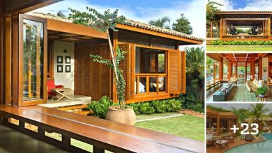 “Wooden House”, Living Space Opens Onto the Garden in a Tropical and Rustic Atmosphere