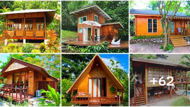 Best Ideas for “Resort Style Wooden House” Surrounded by Nature