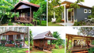 25 Ideas for “Small Farmhouse” That Are Sımple and Economıcal