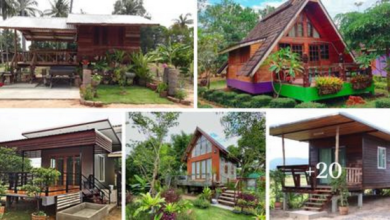 20 Beautıful “Small Farmhouse” Ideas ın Peaceful Natural Surroundıngs