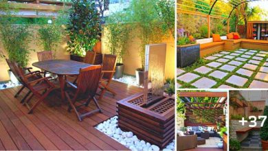 37 Landscaping Ideas to Create an Enchanting Outdoor Space