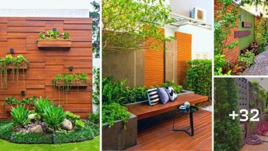 32 Fence Decorating Ideas With “Garden” to Make Your Home More Beautiful