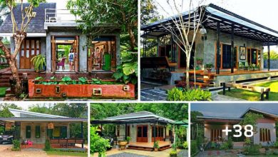 38 One-storey Loft Style Farmhouse Ideas in Refreshing Atmosphere