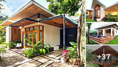 37 Beautiful “Tropical Style One-storey House” Ideas in the Midst of Nature
