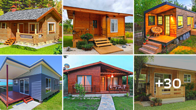 30 Small Wooden House Design Ideas to Inspire You