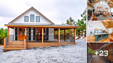 Modern Farmhouse With Spacious Wrap-around Deck Amidst Peaceful Surroundings