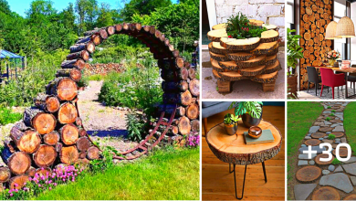 30 Charming “Wood Slice Decor” Ideas to Add a Natural Look to Your Home Garden