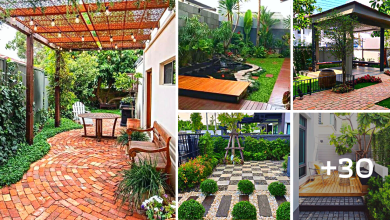 30 Backyard Landscaping Ideas to Create the Ultimate Outdoor Living Space