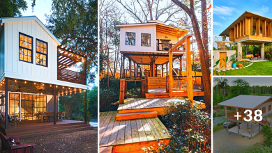 38 Stilt House Design Ideas That Are Both Eye-catching and Practical