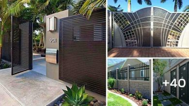 40 Modern Steel Gate and Fence Design Ideas to Inspire You