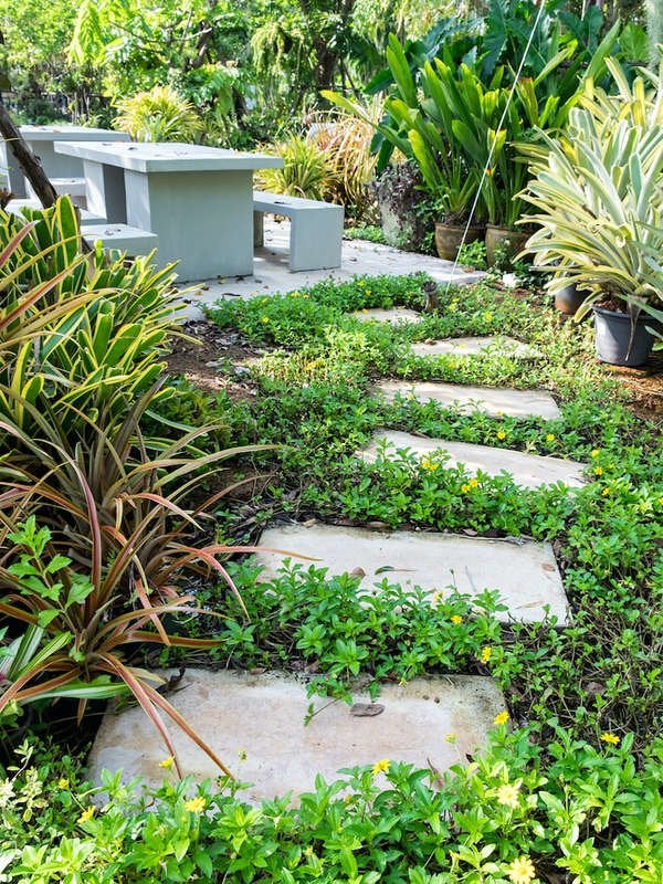 Stone Walkway and Ground Cover