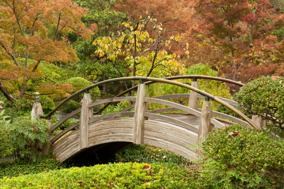A backyard bridge built with bent wood, and with curved railings