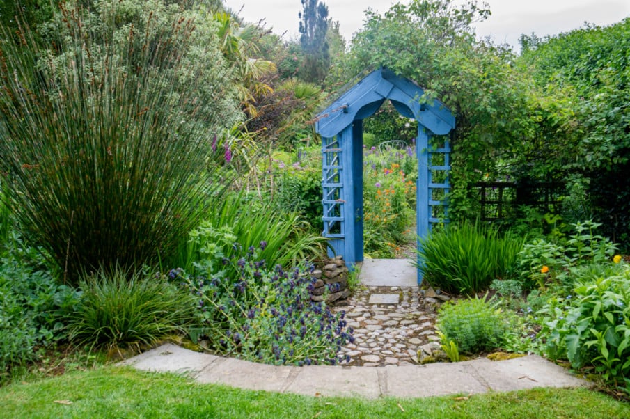 Cute garden design in blue