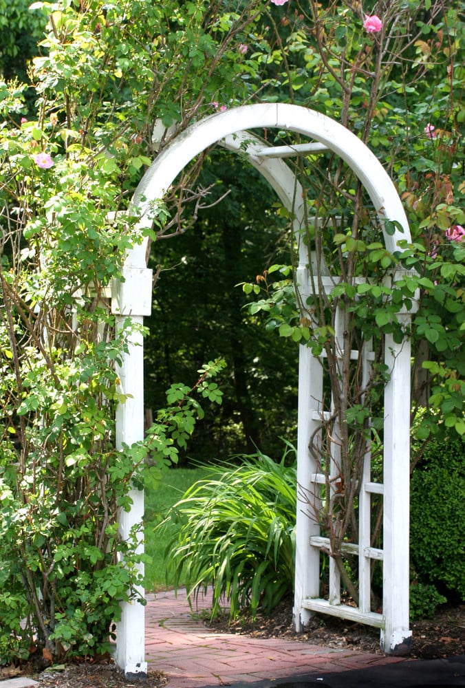 Garden arbor without a gate ideas