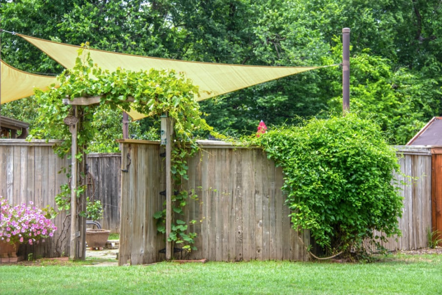 Old rustic fence with an arbor