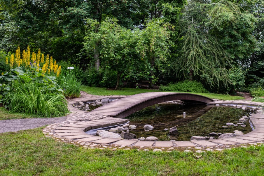 An access bridge connects two sides of a backyard pond