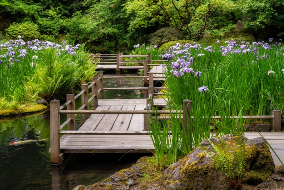 A pond bridge designed as a maze