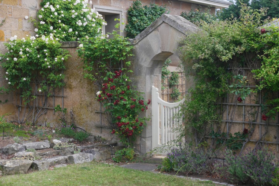 Old world stone fence with an arbor