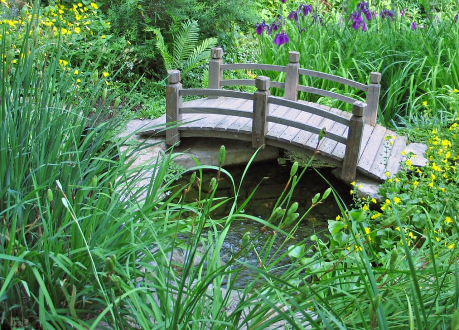 An arched wooden bridge placed over a backyard pond