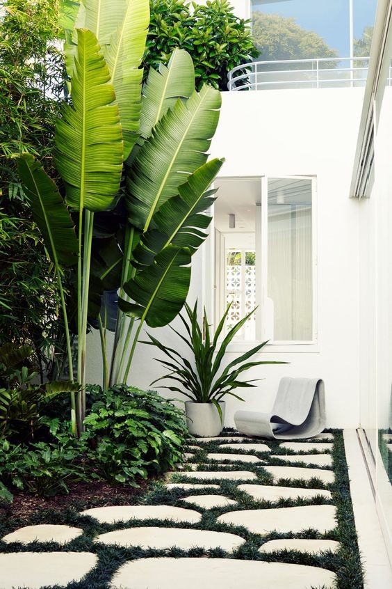 A pocket garden in a house with a white theme