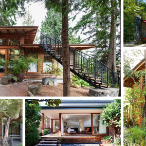 40 Ideas for One-storeƴ House ın Tropıcal Stƴle Embraced bƴ Nature